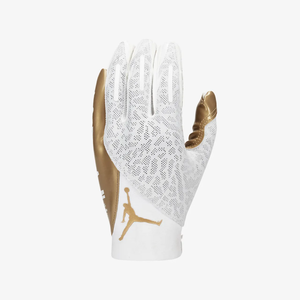 Jordan Knit Metallic Football Gloves J1007033-162