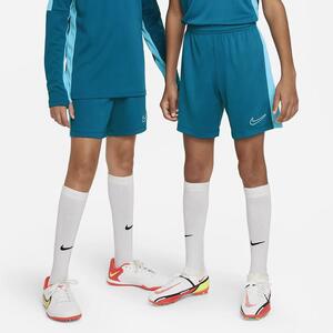 Nike Dri-FIT Academy23 Kids&#039; Soccer Shorts DX5476-301