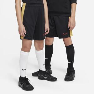 Nike Dri-FIT Academy23 Kids&#039; Soccer Shorts DX5476-011