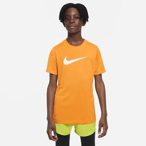 Nike Dri-FIT Legend Big Kids&#039; (Boys&#039;) T-Shirt DX1123-836
