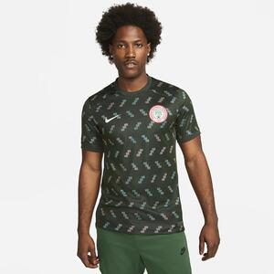 Nigeria 2023 Stadium Away Men&#039;s Nike Dri-FIT Soccer Jersey DX0699-382