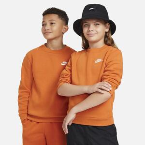 Nike Sportswear Club Fleece Big Kids&#039; Sweatshirt FD3006-893