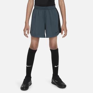 Nike Dri-FIT Academy 23 Big Kids&#039; (Girls&#039;) Soccer Shorts FD3131-328