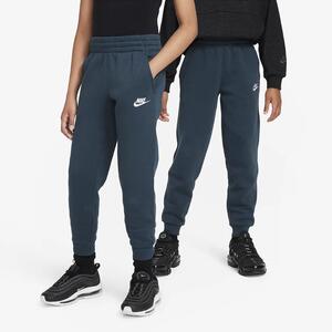 Nike Sportswear Club Fleece Big Kids&#039; Joggers FD3008-328