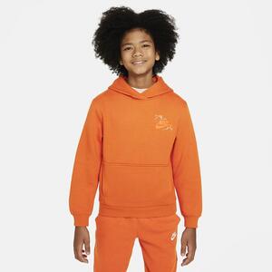 Nike Sportswear Club+ Big Kids&#039; Pullover Hoodie FD3184-893