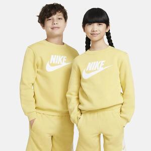 Nike Sportswear Club Fleece Big Kids&#039; Sweatshirt FD2992-700