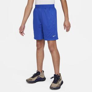 Nike Multi Big Kids&#039; (Boys&#039;) Dri-FIT Mesh Shorts FN8692-480
