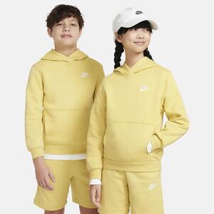 Nike Sportswear Club Fleece Big Kids&#039; Pullover Hoodie FD3000-700
