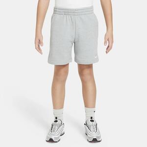 Nike Sportswear Icon Fleece EasyOn Big Kids&#039; Loose Shorts FN8749-041