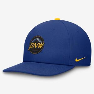 Seattle Mariners City Connect Pro Nike Dri-FIT MLB Adjustable Hat NB094EWMVR-JE3