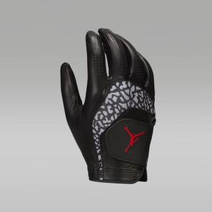 Jordan Tour Regular Golf Glove (Right) J1008923-017