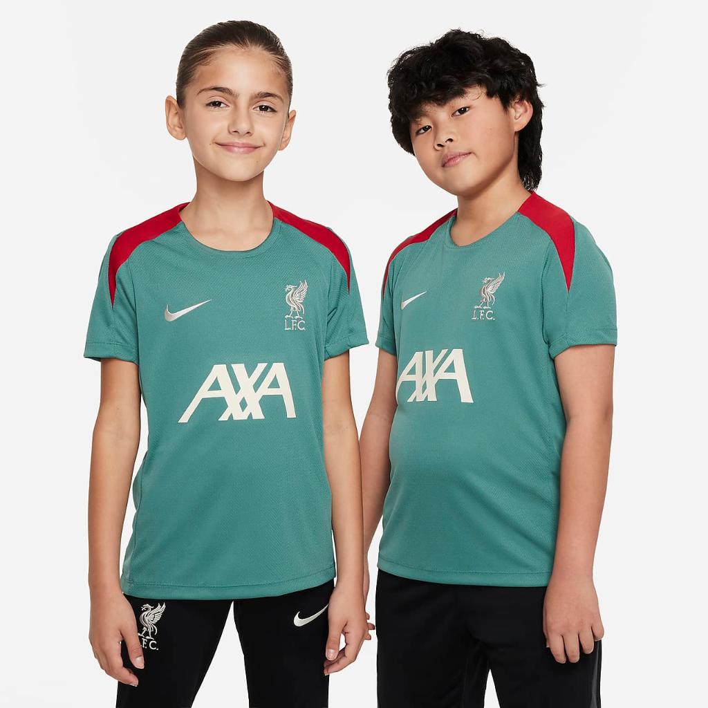 Liverpool FC Strike Big Kids&#039; Nike Dri-FIT Soccer Short-Sleeve Knit Top FN9860-362