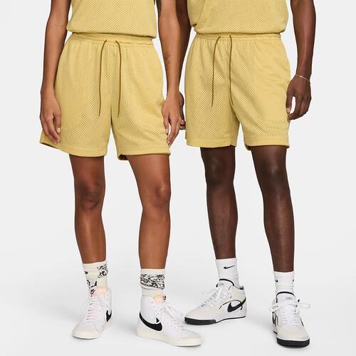 Nike SB Skate Basketball Shorts FN2593-700