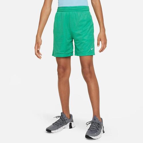Nike Multi Big Kids&#039; (Boys&#039;) Dri-FIT Mesh Shorts FN8692-324