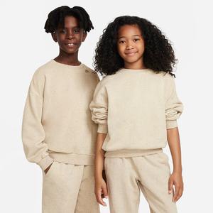 Nike Sportswear Icon Fleece Big Kids&#039; Sweatshirt DQ9002-250