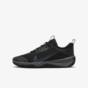 Nike Omni Multi-Court Big Kids&#039; Indoor Court Shoes DM9027-001