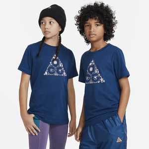 Nike ACG Big Kids&#039; T-Shirt DR9602-460