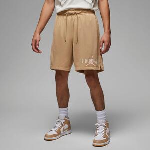 Jordan Essentials Men&#039;s Mesh Shorts DV7652-254