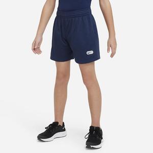 Nike Dri-FIT Athletics Big Kids&#039; (Boys&#039;) Training Shorts DX5378-410