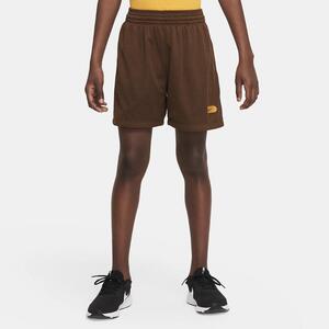 Nike Dri-FIT Athletics Big Kids&#039; (Boys&#039;) Training Shorts DX5378-259