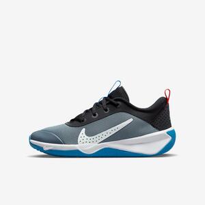 Nike Omni Multi-Court Big Kids&#039; Indoor Court Shoes DM9027-006