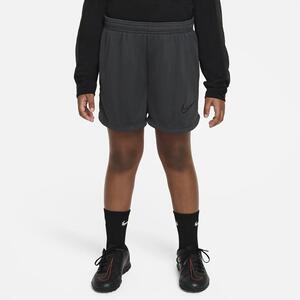 Nike Dri-FIT Academy Big Kids&#039; Knit Soccer Shorts DJ2977-060
