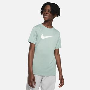 Nike Dri-FIT Legend Big Kids&#039; (Boys&#039;) T-Shirt DX1123-309