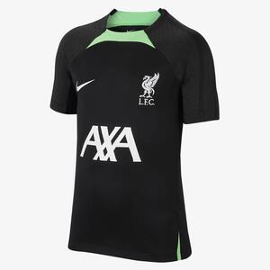 Liverpool FC Strike Big Kids&#039; Nike Dri-FIT Knit Soccer Top DX3079-014