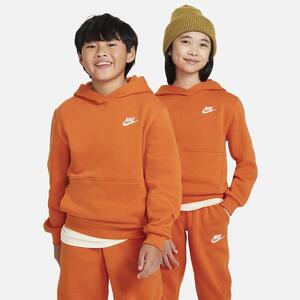 Nike Sportswear Club Fleece Big Kids&#039; Pullover Hoodie FD3000-893