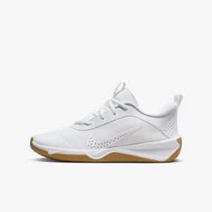 Nike Omni Multi-Court Big Kids&#039; Indoor Court Shoes DM9027-105