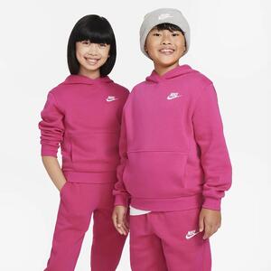 Nike Sportswear Club Fleece Big Kids&#039; Pullover Hoodie FD3000-615