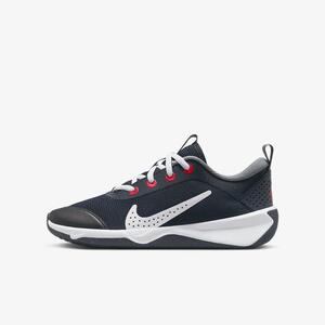 Nike Omni Multi-Court Big Kids&#039; Indoor Court Shoes DM9027-402