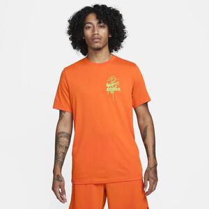 Nike Dri-FIT Men&#039;s Fitness T-Shirt FN0855-893