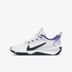 Nike Omni Multi-Court Big Kids&#039; Indoor Court Shoes DM9027-104