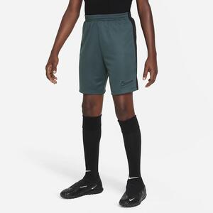 Nike Dri-FIT Academy23 Kids&#039; Soccer Shorts DX5476-328