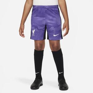 Liverpool FC 2023/24 Stadium Third Big Kids&#039; Nike Dri-FIT Soccer Shorts DX9856-567