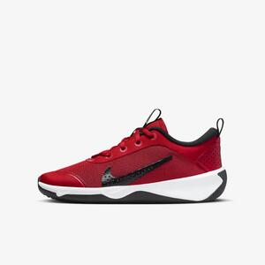 Nike Omni Multi-Court Big Kids&#039; Indoor Court Shoes DM9027-601