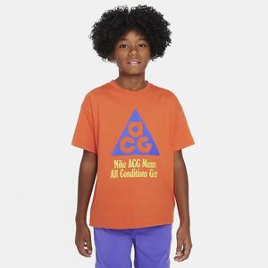 Nike ACG Big Kids&#039; T-Shirt FN9677-809