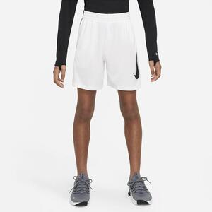 Nike Multi Big Kids&#039; (Boys&#039;) Dri-FIT Graphic Training Shorts DX5361-101