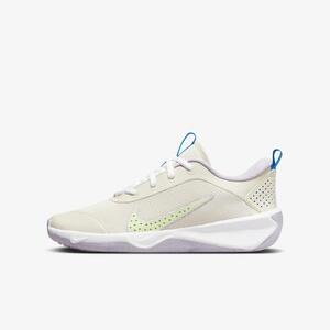 Nike Omni Multi-Court Big Kids&#039; Indoor Court Shoes DM9027-106
