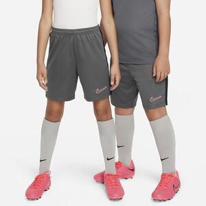 Nike Dri-FIT Academy23 Kids&#039; Soccer Shorts DX5476-069