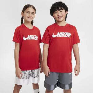 Nike Legend Big Kids&#039; Dri-FIT T-Shirt FV5327-657