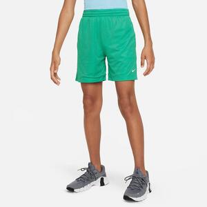 Nike Multi Big Kids&#039; (Boys&#039;) Dri-FIT Mesh Shorts FN8692-324