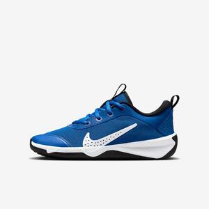 Nike Omni Multi-Court Big Kids&#039; Indoor Court Shoes DM9027-403